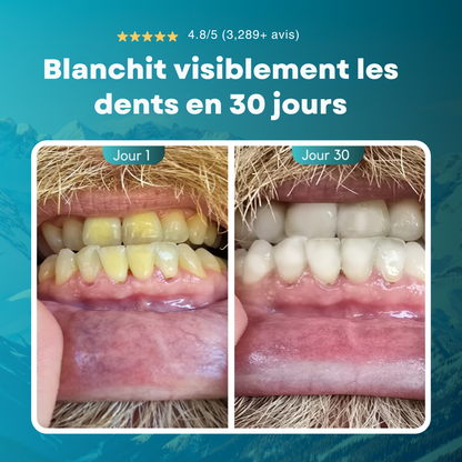 Nyvelis WhiteRepair+ RÉPARE ET BLANCHIT