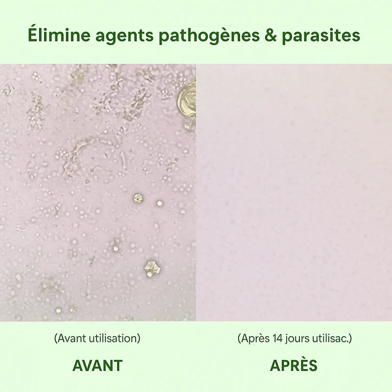 Nyvelis™OREGA– Détox, défense, énergie.