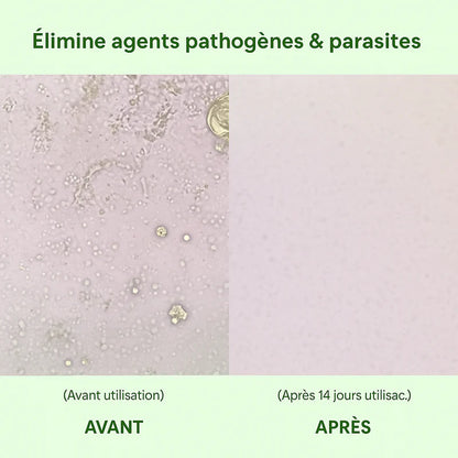 Nyvelis™OREGA– Détox, défense, énergie.